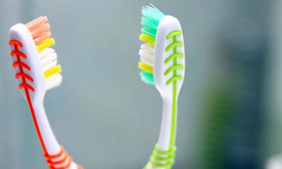 tooth brush holder germiest things we touch everyday