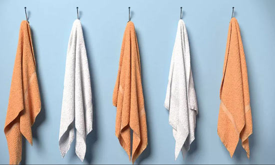 towel germiest things we touch everyday