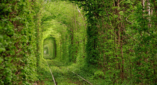 The Tunnel of Love –Ukraine