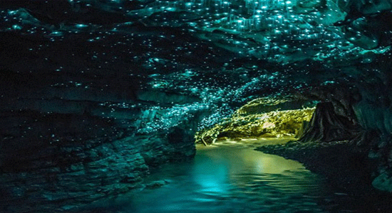  Waitomo Glowworm Caves – New Zealand
