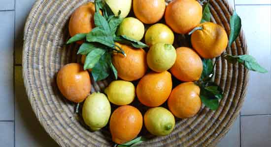Citrus and Acidic Food