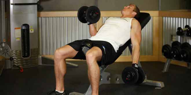 Inclined Dumbbell Curl 