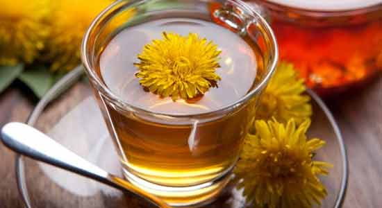 Dandelion to Lower Your Blood Pressure