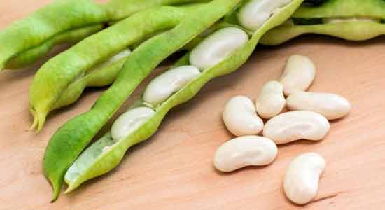 Lima Beans to Lower Your Blood Pressure