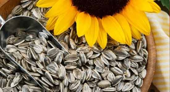 Sunflower Seeds to Lower Your Blood Pressure