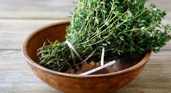 Thyme for Cough