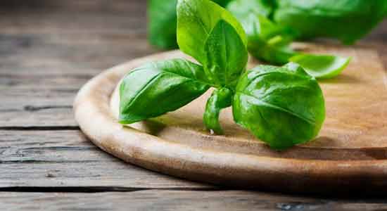 Basil to Purify Your Blood
