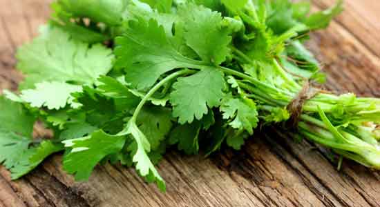 Coriander to Purify Your Blood