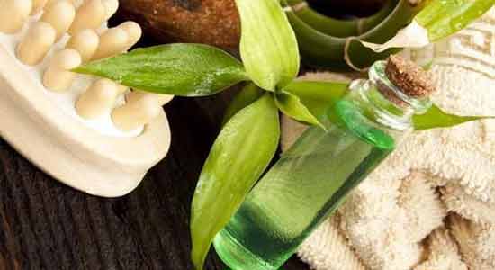 Tea Tree Oil for Bugs and Mosquitoes 