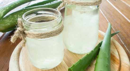 Aloe Vera Juice helps Lose Weight
