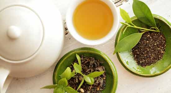 Anti- bacterial Properties of green tea