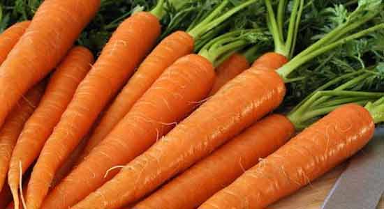 Carrots to Eat for Good Sperm Health