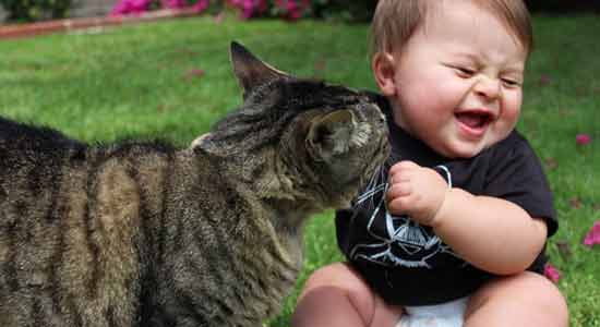 Pet Faeces Toxins that Your Baby Should Not be Exposed