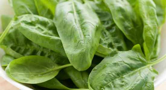 Spinach to Eat for Good Sperm Health