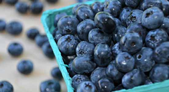 Blueberries Best Fertility Foods for Men