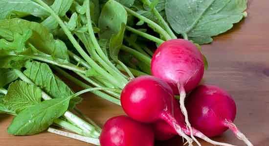 Cancer Prevention with Radishes
