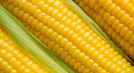 Corn to Recover Iodine Deficiency