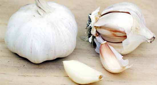 Garlic Best Fertility Foods for Men