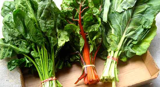 Leafy Vegetables Foods that Burn Belly Fat