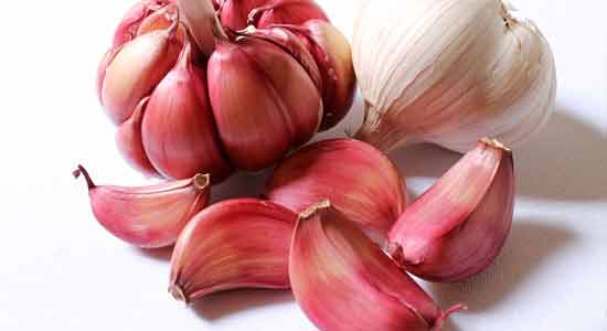Garlic in Your Diet- Consequences and Alternatives