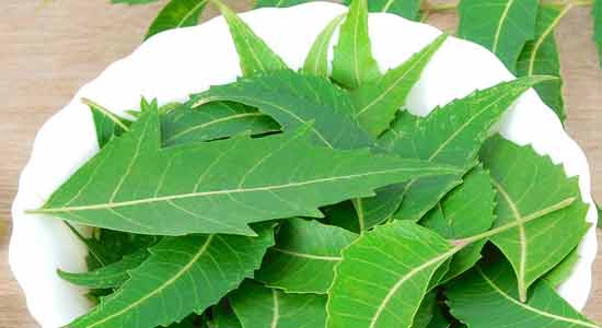 Neem Cure Itchy Armpits 