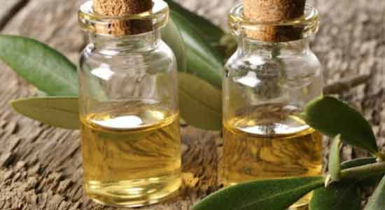 Tea Tree Best Oil Treatments Against Dandruff