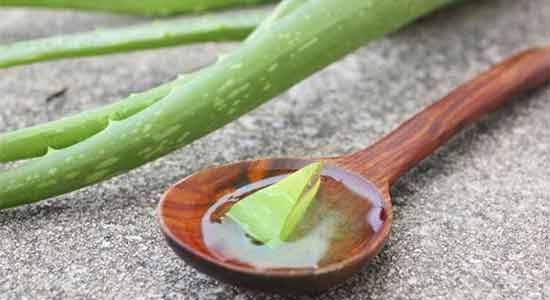 Aloe Vera Awesome Herbs for a Beautiful, Glowing Skin