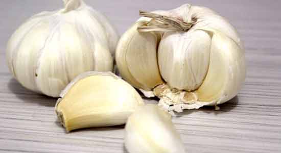 Garlic to Eat for a Strong Immune System