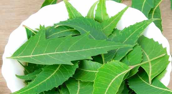 Neem Awesome Herbs for a Beautiful, Glowing Skin