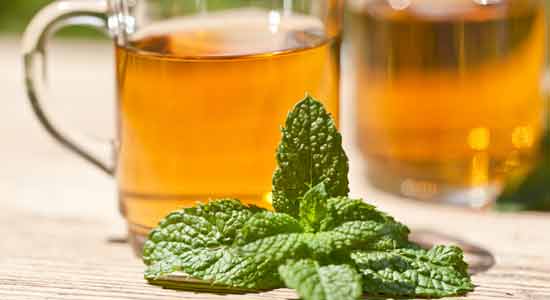 Peppermint for Stomach Disorders