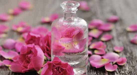Rose Awesome Herbs for a Beautiful, Glowing Skin