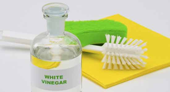 Uses of White Vinegar to toilet clean 