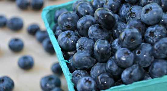 Blueberries Memory Boosting Foods