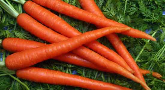 Carrots Foods for Better Eyesight