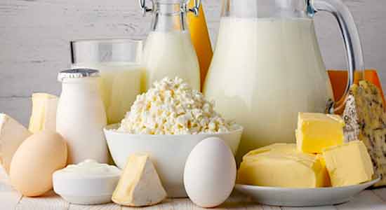 Dairy Products Foods for Better Eyesight