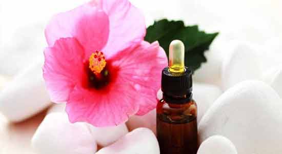 Hibiscus Powerful Home Remedies to Reduce Hair Loss