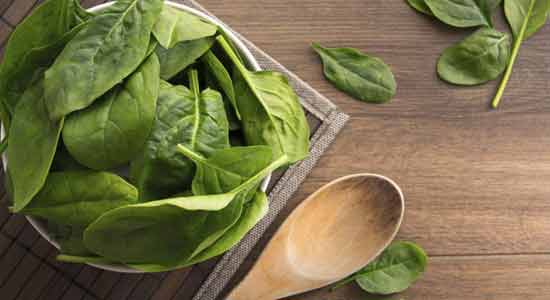 Spinach that can Maximize Your Iron Absorption