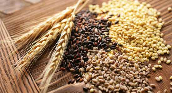Whole Grains that can Maximize Your Iron Absorption