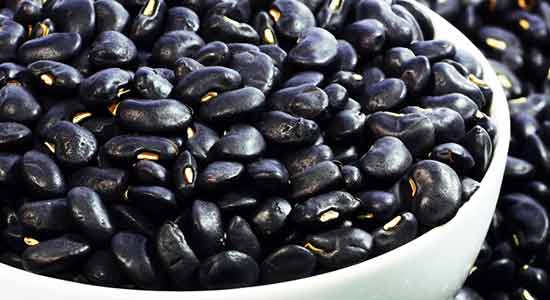 Black Beans Best Sources of Protein to Add into Your Diet