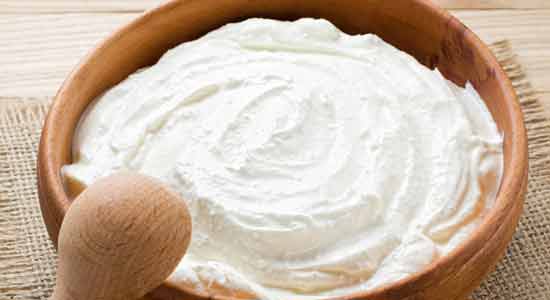 Greek Yogurt Best Sources of Protein to Add into Your Diet