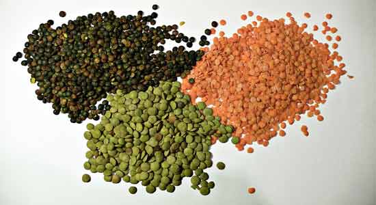 Lentils Best Sources of Protein to Add into Your Diet