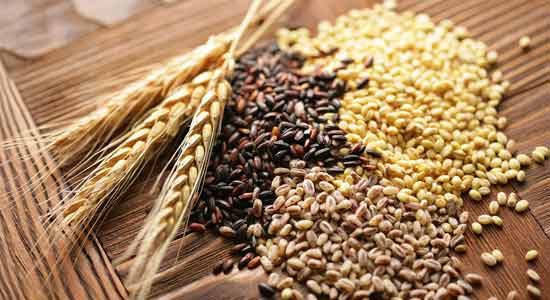 Whole Grains Best Sources of Protein to Add into Your Diet