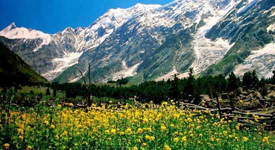 Gilgit Shandur Top Vacation Destinations in Pakistan that You Just Can't Miss