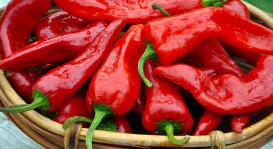 Hot Peppers Foods to Beat the Heat!