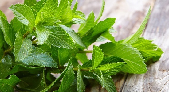 Peppermint for Wisdom Tooth Pain