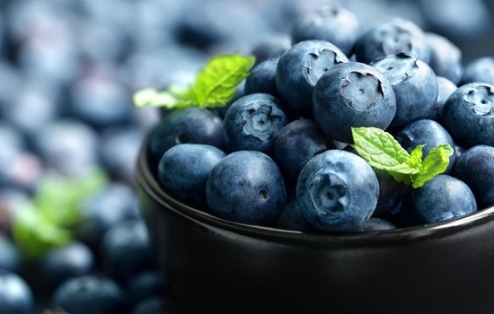 blueberries- Brain Foods to Boost Your Brain Power
