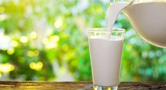 milk to reduce uric acid levels