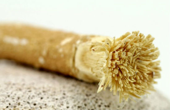 Miswak – The Natural Toothbrush2