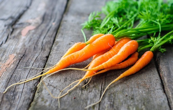 slimming vegetable carrot