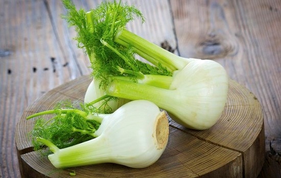 slimming vegetable fennel